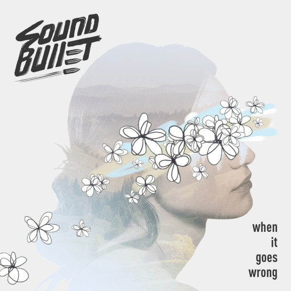 Sound Bullet_When It Goes Wrong